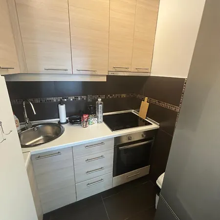 Mintis Apartment *